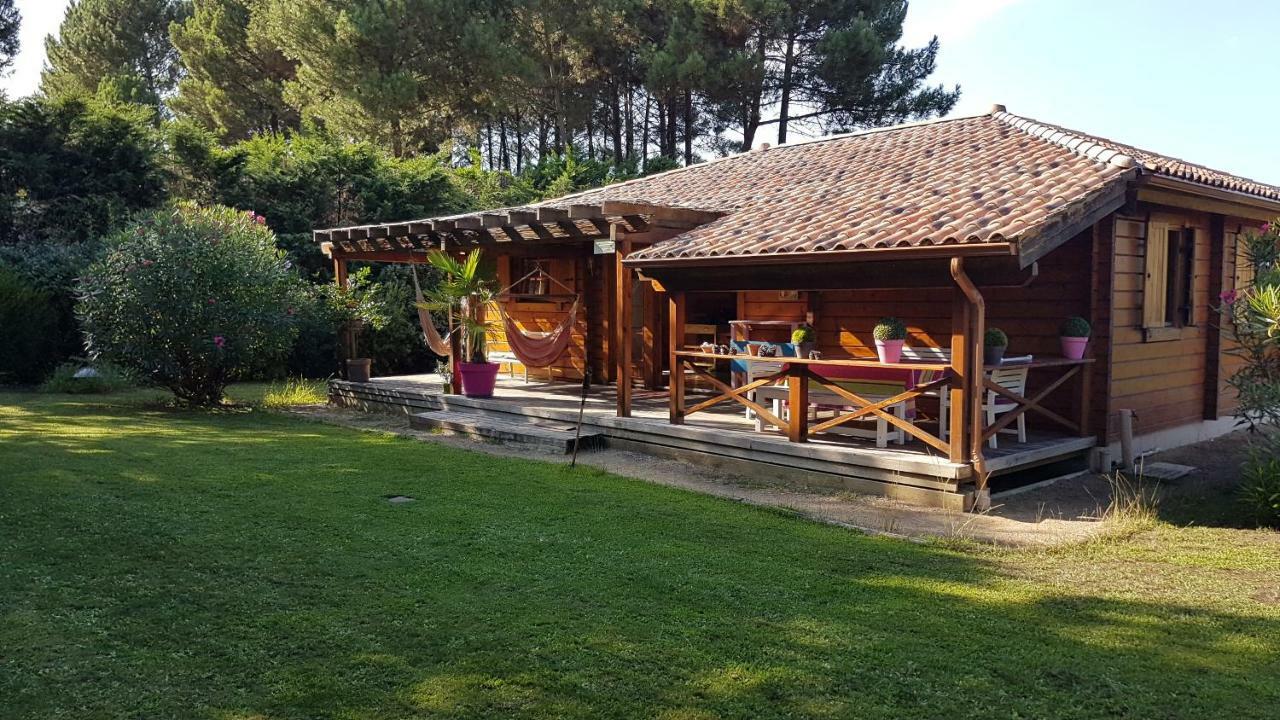 "Belle Maison En Bois" Messanges  Εξωτερικό φωτογραφία